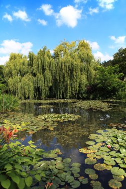 Pond and garden clipart