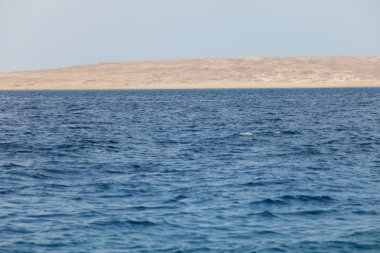 red sea Island'da