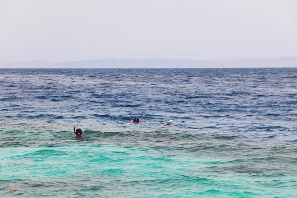 Buceadores snorkeling — Foto de Stock