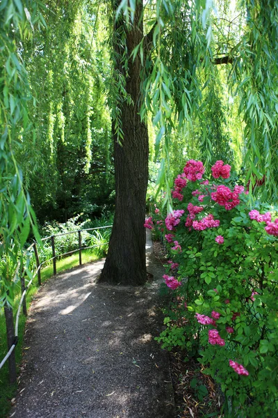 Tuin in giverny, Frankrijk — Stockfoto