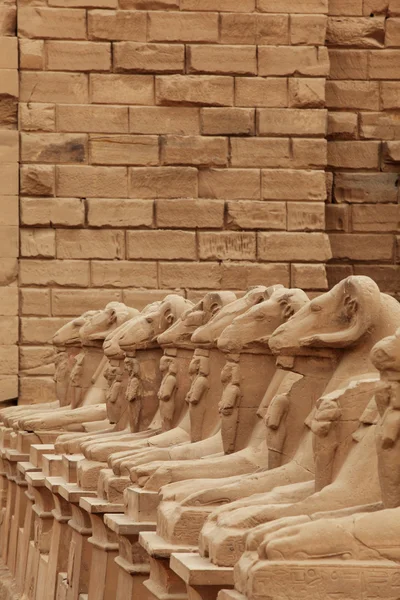 Karnak Tapınağı'nda heykeller — Stok fotoğraf