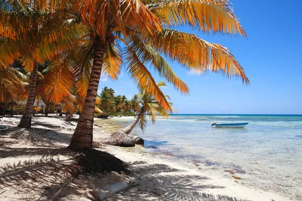 Tropical beach at Punta Cana Stock Image