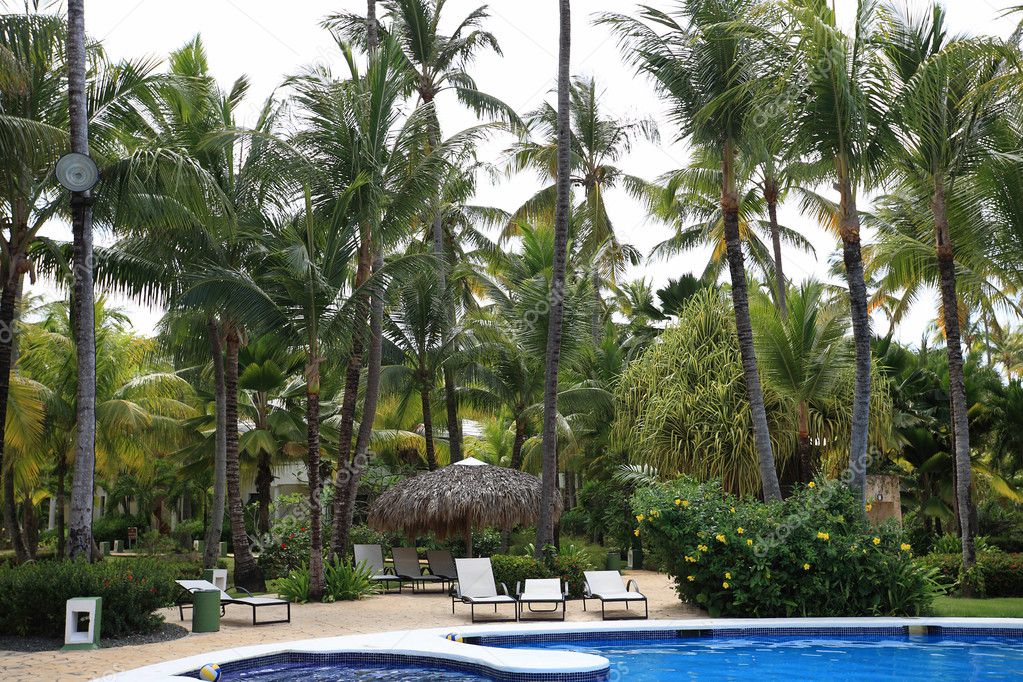 Pool at tropical resort