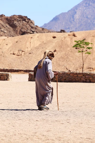Homem beduíno — Fotografia de Stock