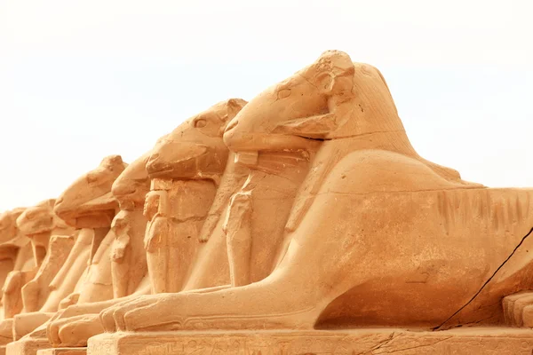 Sphinx sculptures — Stock Photo, Image