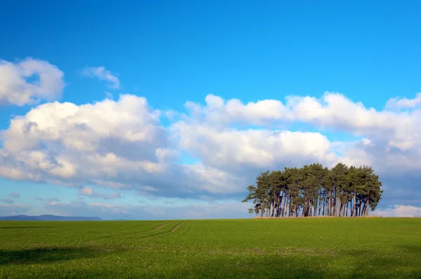 stock image Fantasy Landscape