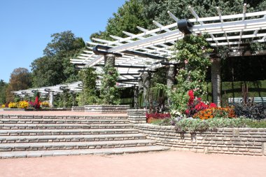 Pergola