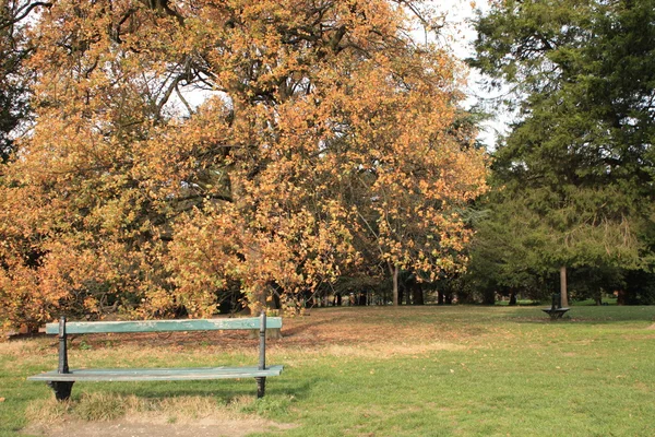 Скамейка в парке осенью — стоковое фото