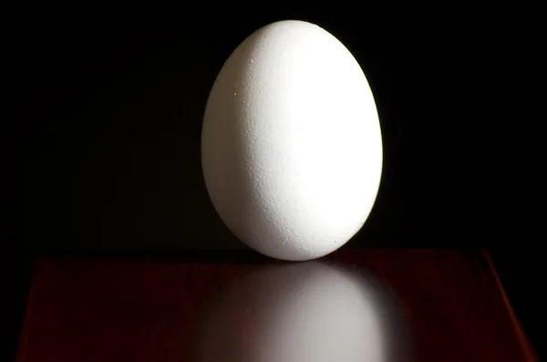 Яйце — стокове фото
