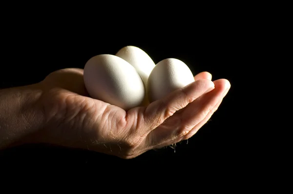 Tři vejce ruka — Stock fotografie