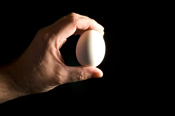 Χέρι και αυγό — Φωτογραφία Αρχείου