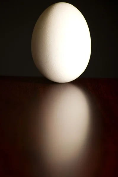 Függőleges tojás — Stock Fotó