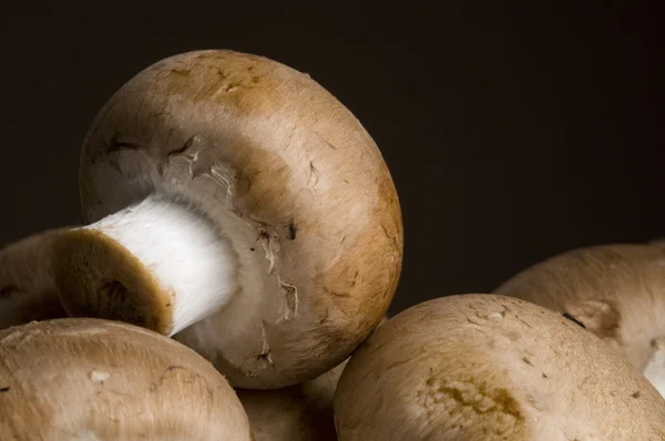 stock image Portabella Mushroom