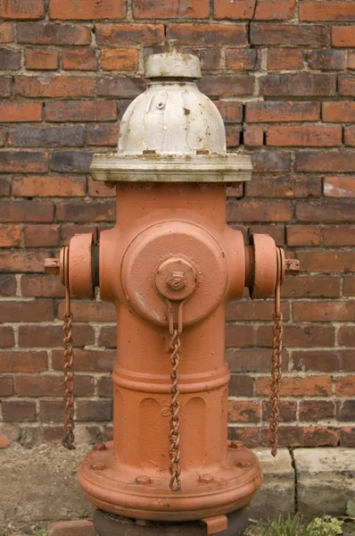 Hydrant Brick Closeup — Stock Photo, Image