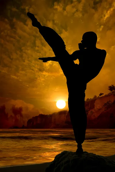 Combatiente de Kung Fu practicando — Foto de Stock