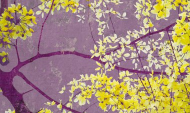 Golden shower tree on purple wall clipart