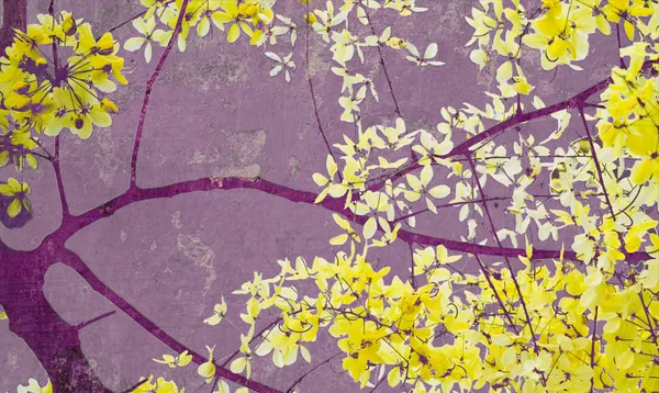 Pohon Golden shower di dinding ungu — Stok Foto