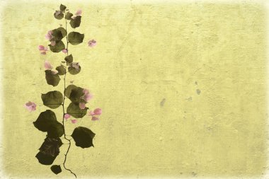 Bouganvillea on beige background clipart