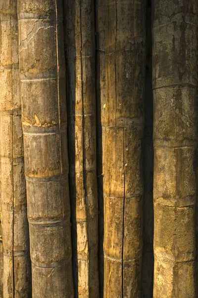 Alter Bambus Hintergrund — Stockfoto