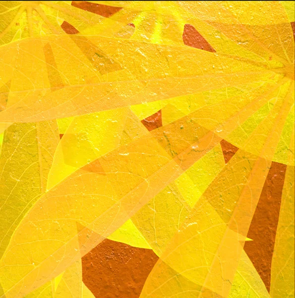 Желтые и оранжевые листья тапиоки — стоковое фото