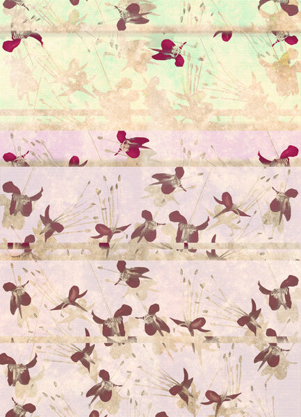 Portrait of butterfly flowers