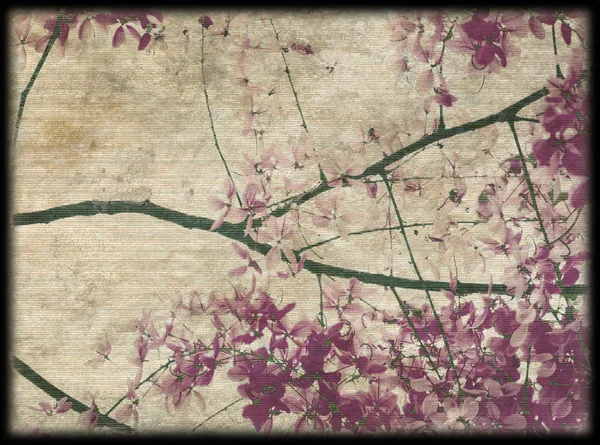 Pembe ve mor çiçeği arka plan — Stok fotoğraf