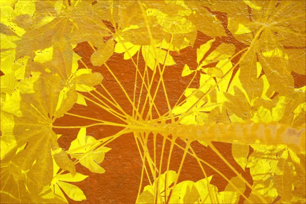 Tapioca amarela sobre fundo laranja — Fotografia de Stock