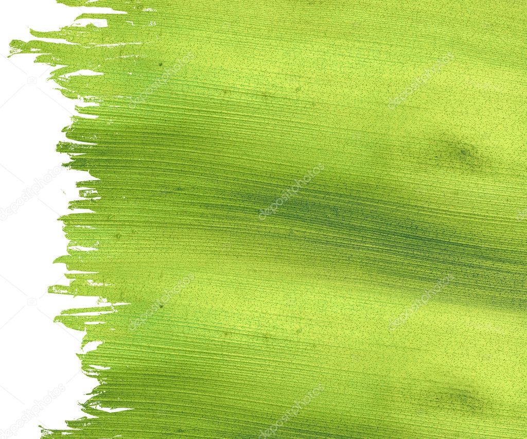 Green coconut paper background