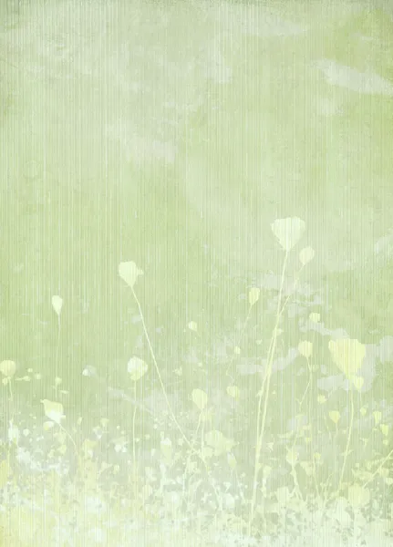Flor del prado fondo verde — Foto de Stock