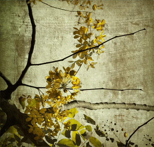 Sárga grunge kerala blossom — Stock Fotó