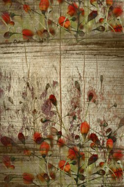 Red buds on grunge wood background clipart