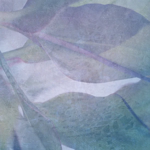 Leaf abstrakt på knäckt bakgrund — Stockfoto