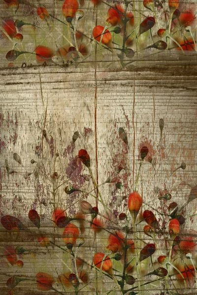 Red buds on grunge wood background — Stock Photo, Image