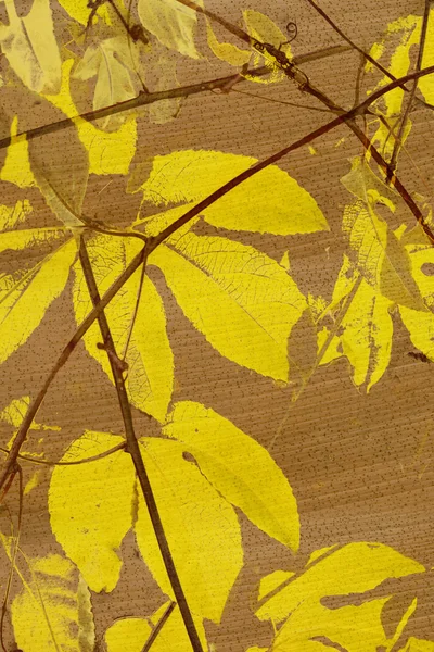 Maracujá amarelo sobre papel de coco — Fotografia de Stock