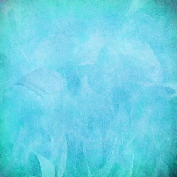 Blauwe veren abstract op papier — Stockfoto