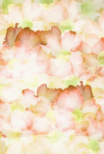 Kwiaty na naturalny papier prążkowany — Zdjęcie stockowe
