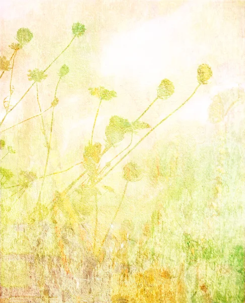 Yumuşak yaz çayır arka plan — Stok fotoğraf