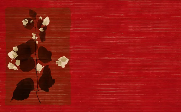Zwarte en witte bloem afdrukken op rood — Stockfoto