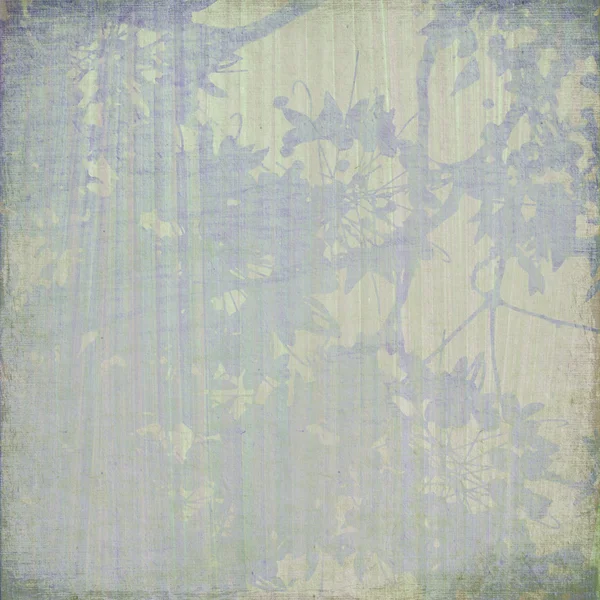 Blue blossom on cream background — Stock Photo, Image