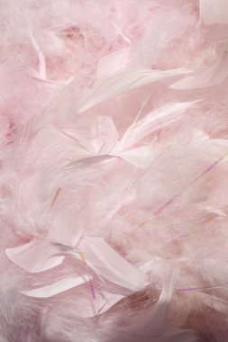 Fluffy pink feathers clipart