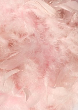 Baby pink fluffy feather background clipart