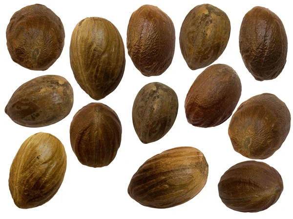 Nutmeg isolated — Stock Photo, Image