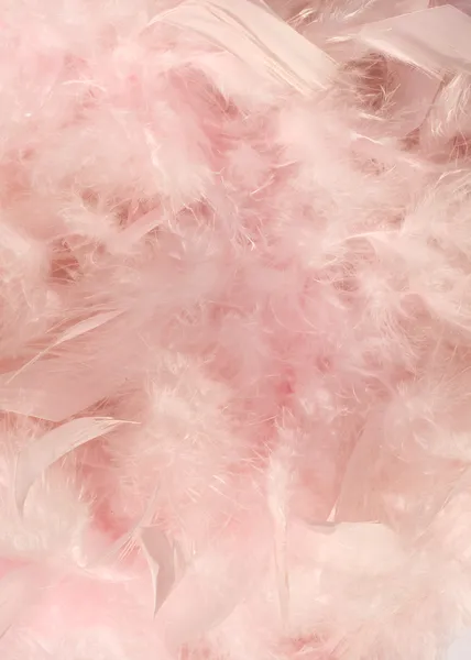 Baby pink fluffy feather background — Stock Photo, Image