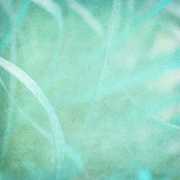 Misty blue grass abstract — Stock Photo, Image
