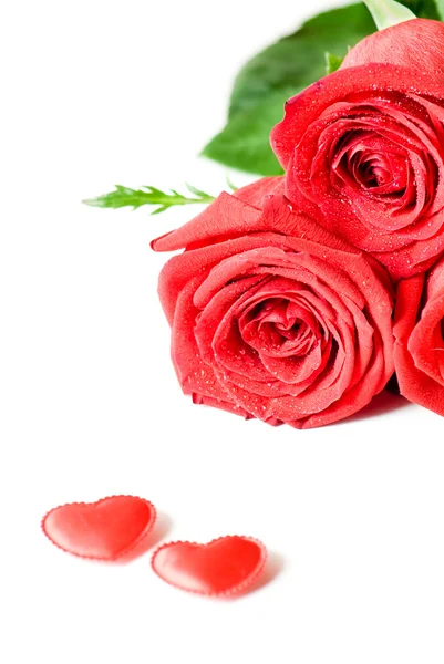 Hongbao en rode rose — Stockfoto