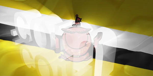 Brunei vlag golvende www internet — Stockfoto