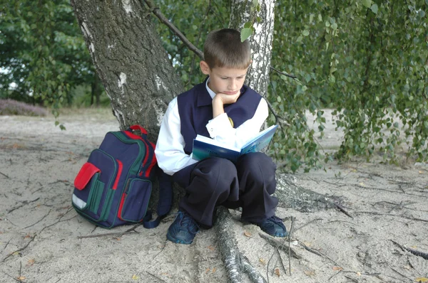 stock image Student-truant