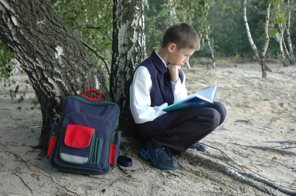 stock image Student-truant