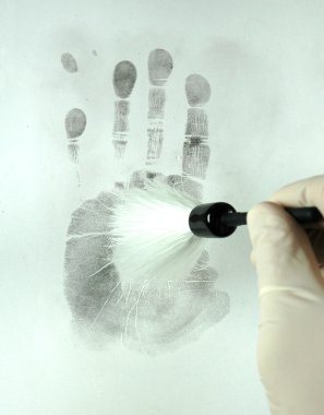 Revealing the fingerprints clipart