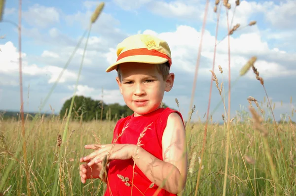 Boy in the grass — Stock Photo, Image